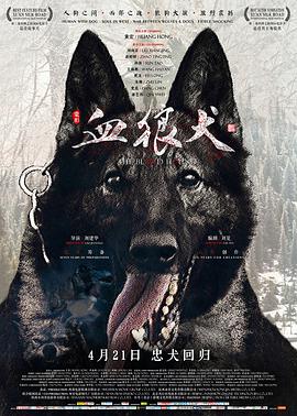 https://sdcxhjkj.com/tuku/img/血狼犬.jpg