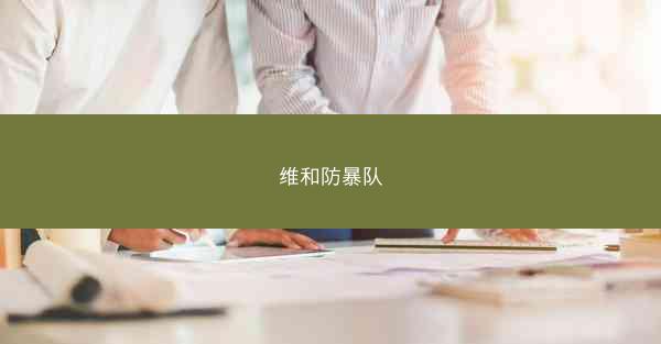 维和防暴队
