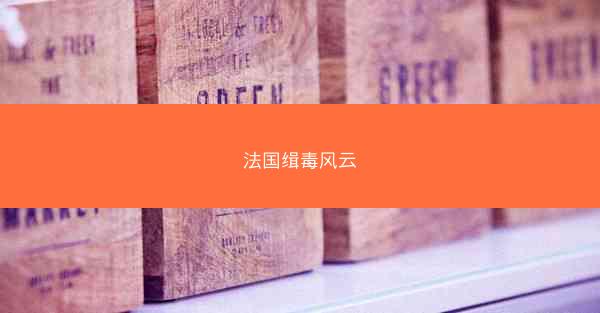 法国缉毒风云