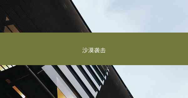 沙漠袭击
