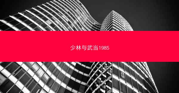 少林与武当1985
