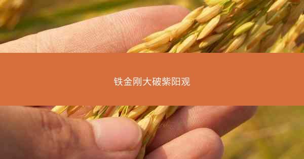 铁金刚大破紫阳观
