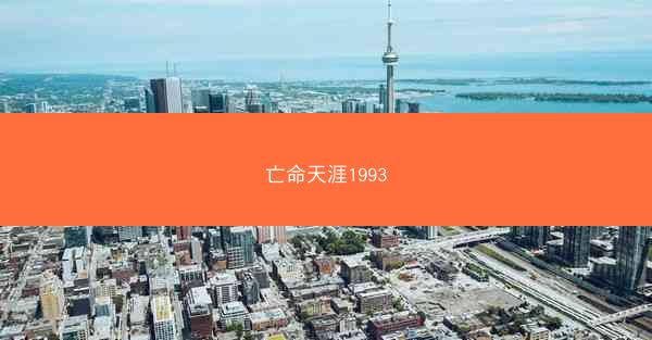亡命天涯1993