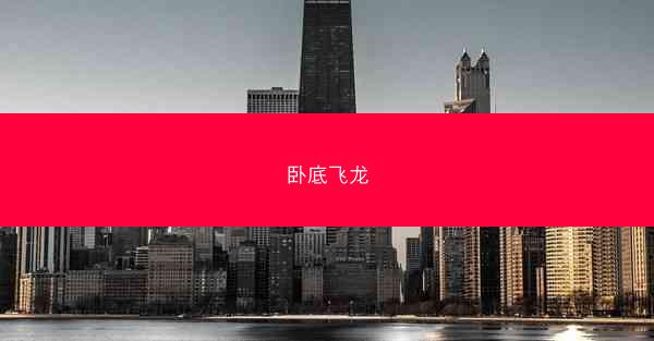 卧底飞龙