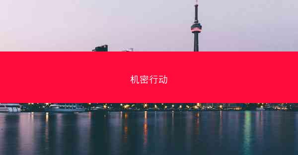 机密行动