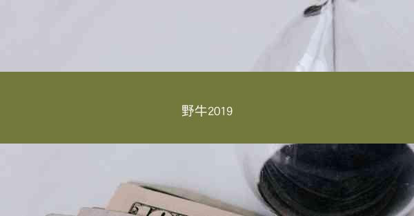 野牛2019