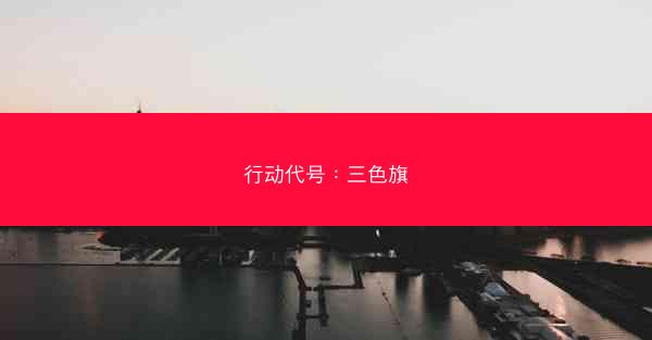 行动代号：三色旗