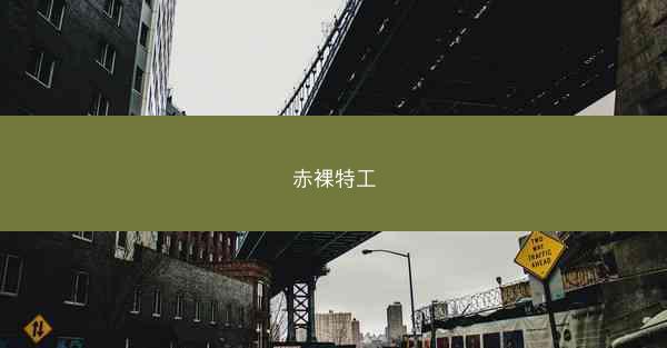 赤裸特工