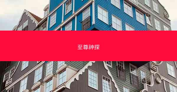 至尊神探
